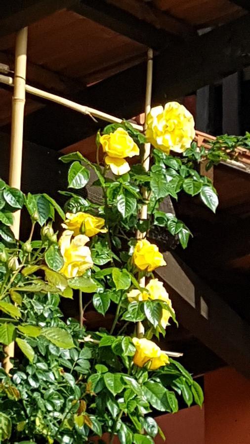 B&B La Cascina Di Monia E Mario Borgo Ticino Εξωτερικό φωτογραφία